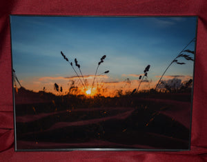 Framed Photo of "Sunset" Photographed by Carol Saylor