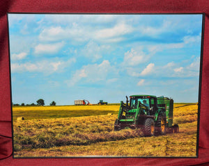 Framed Photo of "Making Hay" Photographed by Carol Saylor
